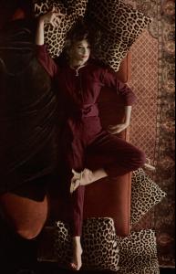 1960s_leopard.JPG