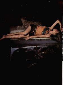 apr_15_1967_leopard.JPG