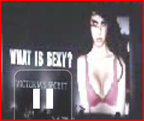 Adri_on_terminator.PNG