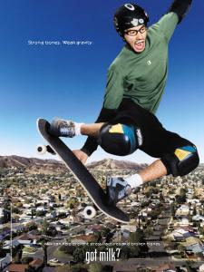 bob_burnquist_l.jpg