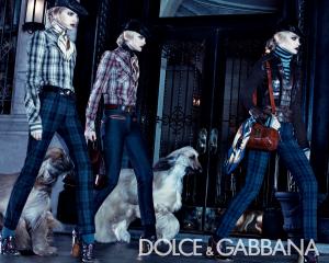 78891_trentini_stam_donaldson_dolce_gabbana_03_122_691lo.jpg