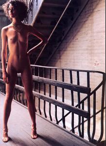 shalom_dutch17_1998_tfs_meduse94.jpg