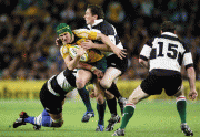 th_e580a338151897.gif