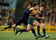 th_ed329c40334225.gif