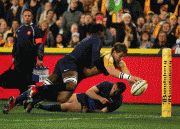 th_e998ae40334506.gif