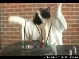 post-32853-0-1446131846-54024_thumb.gif
