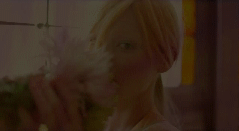 post-35528-1275621958_thumb.gif