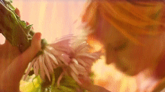 post-35528-1275622056_thumb.gif