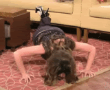 post-35528-1276016444_thumb.gif