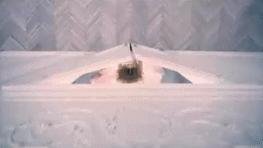 post-35528-1276373276_thumb.gif