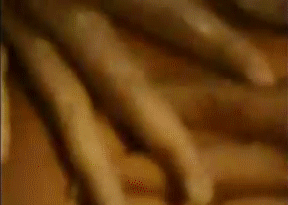 post-35528-1276476760_thumb.gif