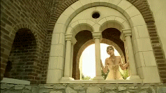 post-35528-1277613795_thumb.gif
