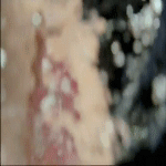 post-35528-0-1446017501-06243_thumb.gif