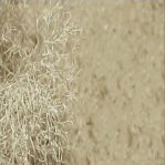 post-35528-0-1446017501-08287_thumb.gif