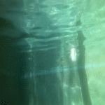 post-35528-0-1446024316-70523_thumb.gif