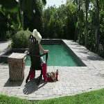 post-35528-0-1446024316-74274_thumb.gif