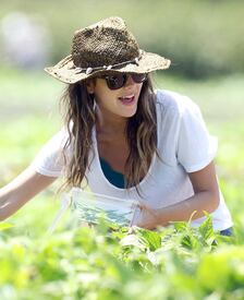 RachelBilson_UnderwoodFamilyFarm_Moorpark_260611_029.jpg