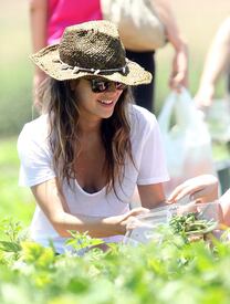 RachelBilson_UnderwoodFamilyFarm_Moorpark_260611_032.jpg