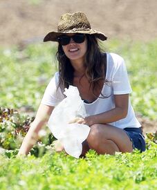 RachelBilson_UnderwoodFamilyFarm_Moorpark_260611_037.jpg