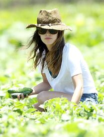 RachelBilson_UnderwoodFamilyFarm_Moorpark_260611_038.jpg