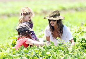 RachelBilson_UnderwoodFamilyFarm_Moorpark_260611_043.jpg