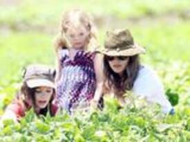 th_RachelBilson_UnderwoodFamilyFarm_Moorpark_260611_044.jpg