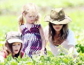 RachelBilson_UnderwoodFamilyFarm_Moorpark_260611_045.jpg