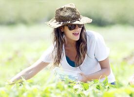 RachelBilson_UnderwoodFamilyFarm_Moorpark_260611_046.jpg