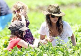 RachelBilson_UnderwoodFamilyFarm_Moorpark_260611_051.jpg