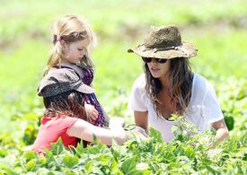 RachelBilson_UnderwoodFamilyFarm_Moorpark_260611_053.jpg