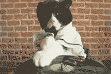 post-39932-0-1446083166-21138_thumb.gif