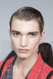 dior-homme-mens-backstage-spring-summer-2014-pfw.jpg