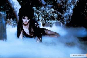 kinopoisk.ru-Elvira_3A-Mistress-of-the-Dark-1551457.jpg