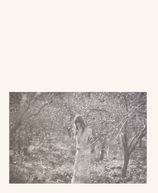 Amanda-11.png