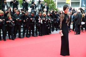 alice-braga-at-foxcatcher-premiere-at-cannes-film-festival_6.jpg