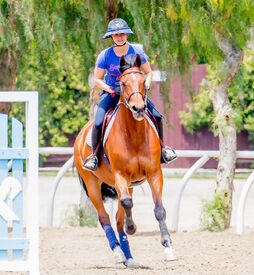 kaley-cuoco-at-horseback-riding-in-los-angeles-05-13-2016_3.jpg