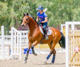 kaley-cuoco-at-horseback-riding-in-los-angeles-05-13-2016_7.jpg