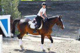 iggy-azalea-at-horse-riding-in-los-angeles-04-29-2016_14.jpg