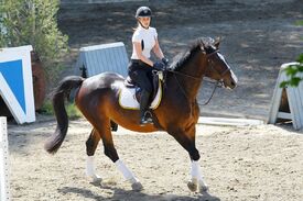 iggy-azalea-at-horse-riding-in-los-angeles-04-29-2016_15.jpg