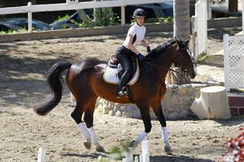 iggy-azalea-at-horse-riding-in-los-angeles-04-29-2016_16.jpg