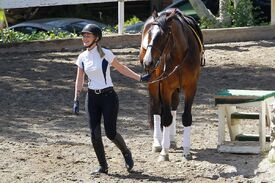 iggy-azalea-at-horse-riding-in-los-angeles-04-29-2016_17.jpg