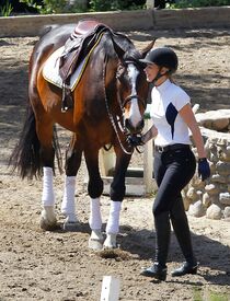 iggy-azalea-at-horse-riding-in-los-angeles-04-29-2016_2.jpg