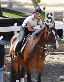 iggy-azalea-at-horse-riding-in-los-angeles-04-29-2016_5.jpg