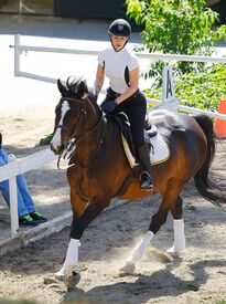 iggy-azalea-at-horse-riding-in-los-angeles-04-29-2016_8.jpg