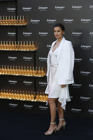 ishayk230616BZNimage10.jpg
