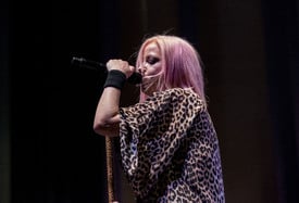 garbage190616BZNimage1.jpg