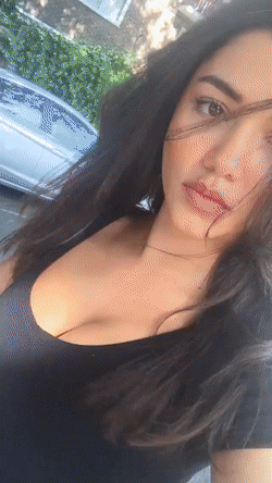 ElatedDistortedGentoopenguin-size_restri.gif