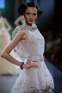 78979_DIOR_HC_AW08_0963_122_499lo.jpg