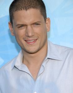 02521_Wentworth_Miller___FOX_Networks_Summer_TCA_party_CU_ISA_140708_01_122_76lo.jpg