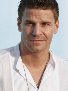 02905_David_Boreanaz____FOX_Networks_Summer_TCA_party_CU_ISA_140708_01_122_974lo.jpg